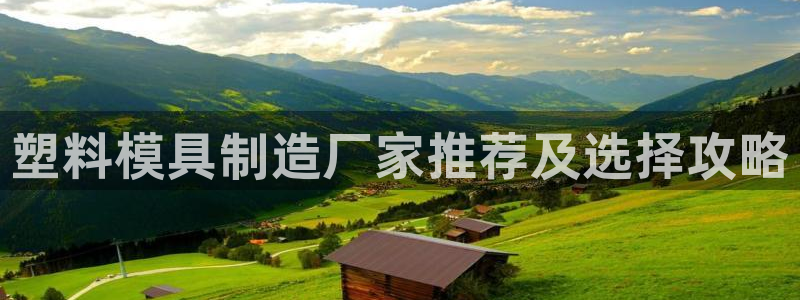 太阳成集团控股官网：塑料模具制造厂家推荐及选择攻略