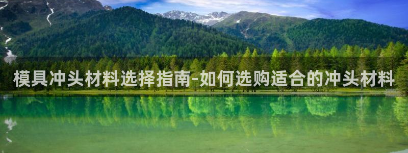 15vip太阳集团官网：模具冲头材料选择指南-如何选购适合的冲头材料