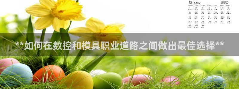 太阳集团游戏城旧版5376：**如何在数控和模具职业道路之间做出最佳选择**