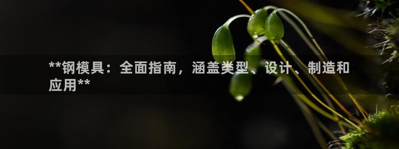 太阳成集团tyc234cc振兴：**钢模具：全面指南，涵盖类型、设计、制造和
应用**