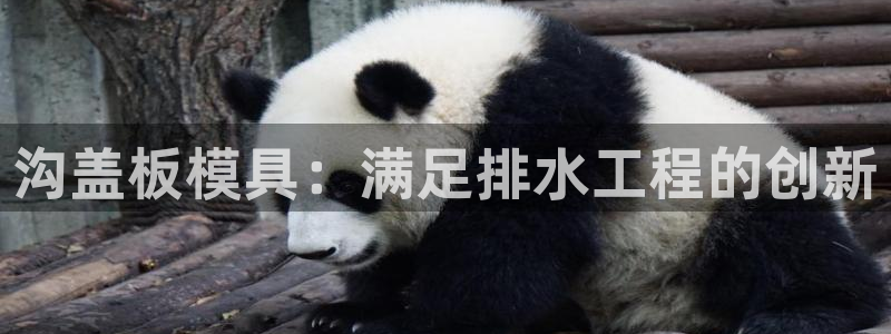 太阳游戏盒子：沟盖板模具：满足排水工程的创新