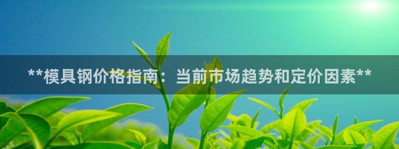 太阳集团电子游戏APP登录入口：**模具钢价格指南：当前市场趋势和定价因素**