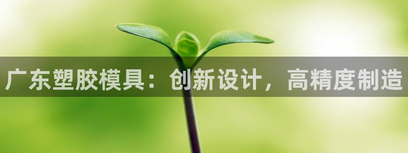 太阳集团娱：广东塑胶模具：创新设计，高精度制造