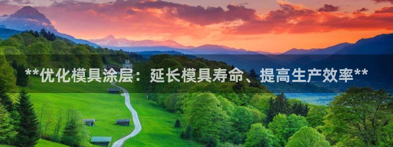 太阳gg登陆测试：**优化模具涂层：延长模具寿命、提高生产效率**