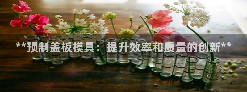 15vip太阳成集团