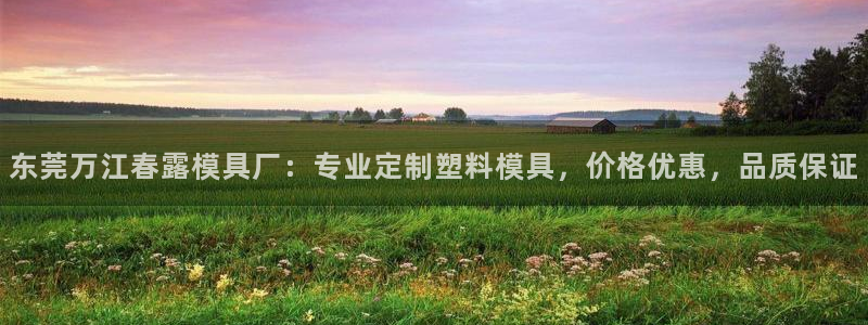 太阳地产老板：东莞万江春露模具厂：专业定制塑料模具，价格优惠，品质保证