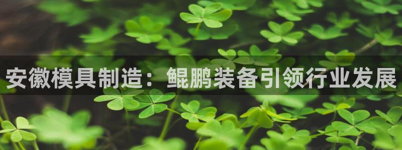 太阳集团娱乐官网8722：安徽模具制造：鲲鹏装备引领行业发展