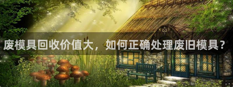 太阳成集团控股买购网：废模具回收价值大，如何正确处理废旧模具？