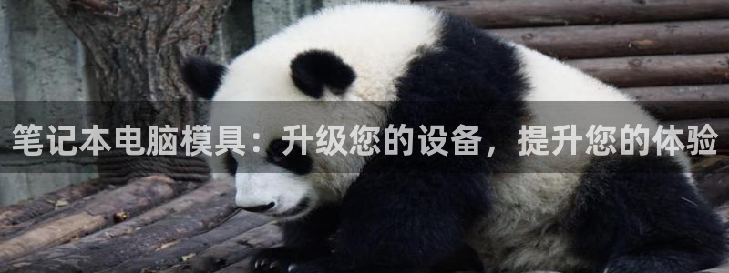江苏太阳集团冷青松：笔记本电脑模具：升级您的设备，提升您的体验